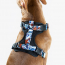 WOOF Concept Max Control Mesh Harness Koi Large