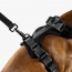 WOOF Concept Max Control Mesh Harness Noir 2 Medium