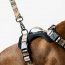 WOOF Concept Max Control Mesh Harness SleeStack Large