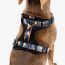WOOF Concept Max Control Mesh Harness Brooklyn Small