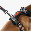 WOOF Concept Max Control Mesh Harness Brooklyn Medium