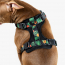 WOOF Concept Max Control Mesh Harness Maui 2 Medium