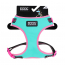 DOOG Neon Dog Harness Rin Tin Tin LARGE