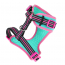 DOOG Neon Dog Harness Rin Tin Tin LARGE