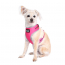 DOOG Neon Dog Harness Lady SMALL