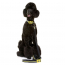 DOOG Neon Dog Collar Bolt LARGE