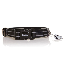 DOOG Neon Dog Collar Lassie LARGE