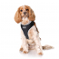 DOOG Neoflex Dog Harness Lassie XLARGE