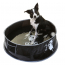 DOOG Pop-Up Dog Pool LARGE