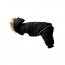 GF PET Creekside Snowsuit  BLACK  2XS
