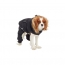 GF PET Creekside Snowsuit  BLACK  L