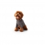 GF PET Gondola Base Layer  CHARCOAL  2XL