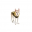 GF PET Reversible Raincoat  YELLOW  L