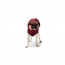 GF PET Reversible Raincoat  RED  XS