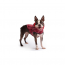 GF PET Reversible Raincoat  RED  XS