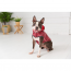 GF PET Reversible Raincoat  RED  XS