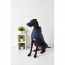 GF PET Reversible Raincoat  NAVY  M