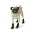 GF PET Elasto-Fit Boots  XS