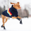 GF PET Elasto-Fit Boots  XS