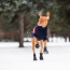 GF PET  Elasto-Fit Boots  XL