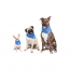 GF PET Ice Band - XS