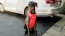 GF PET Travel Harness - RED - M
