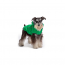 GF PET Reversible Raincoat - GREEN - M