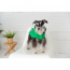 GF PET Reversible Raincoat - GREEN - XL