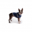 GF PET  Trekking Sweater - BLUE - 2XS