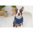GF PET  Trekking Sweater - BLUE - 2XS