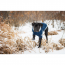 GF PET  Trekking Sweater - BLUE - 2XS
