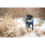 GF PET  Trekking Sweater - BLUE - 2XS