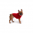 GF PET Chalet Sweater - RED - XS
