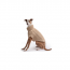 GF PET Chalet Sweater - OATMEAL - XS