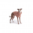 GF PET Chalet Sweater - PINK - M