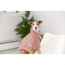 GF PET Chalet Sweater - PINK - M