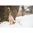 GF PET Chalet Sweater - PINK - M