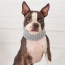 GF PET CHALET TUBE SCARF - HEATHER GREY - S