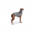 GF PET Urban Hoodie - HEATHER GREY - L