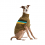 GF PET ALPINE SWEATER - DARK KHAKI - L