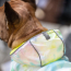 GF PET Reversible Raincoat - NEON YELLOW WITH TIE DYE - XS
