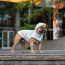 GF PET Reversible Raincoat - NEON YELLOW WITH TIE DYE - L