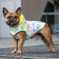 GF PET Reversible Raincoat - NEON YELLOW WITH TIE DYE - L