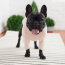 GF PET Gondola Base Layer PINK S