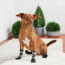 GF PET All Terrain Boots BLACK 2XS