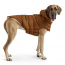 GF PET Elasto-Fit Arctic Parka WOOD XL