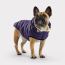 GF PET Elasto-Fit Cloud Parka PURPLE XL