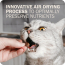 REDBARN AIR DRIED Cat POWERFOOD Chicken 2.5oz Trial Size