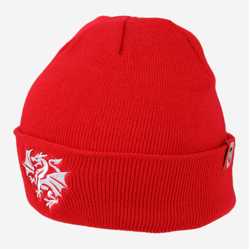 St. George Illawarra Dragons NRL Transform Beanie