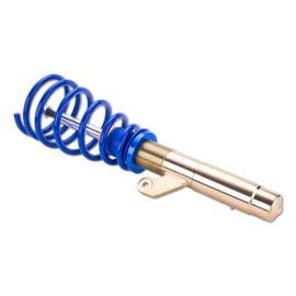 ap Coilover Suspension for BMW (E89) Z4 Roadster